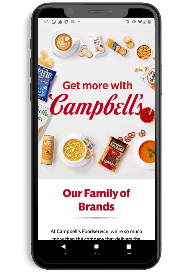 Campbell's Foodservice - Mobile Website Screen Example