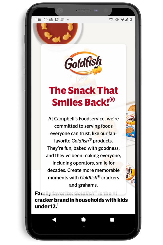 Campbell's Foodservice - Mobile Website Screen Example